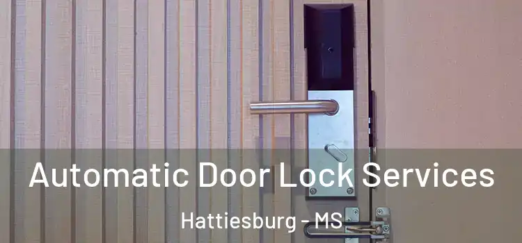 Automatic Door Lock Services Hattiesburg - MS