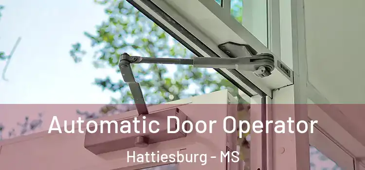 Automatic Door Operator Hattiesburg - MS