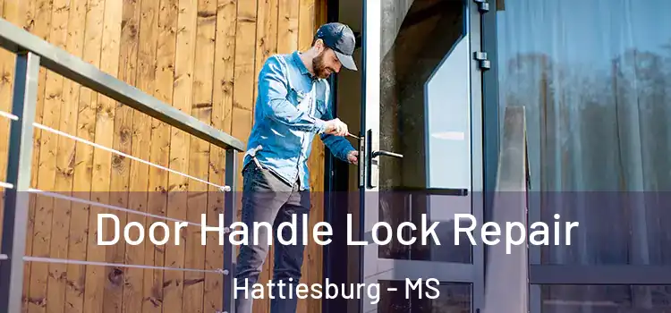 Door Handle Lock Repair Hattiesburg - MS