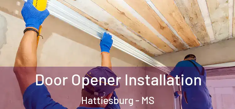 Door Opener Installation Hattiesburg - MS