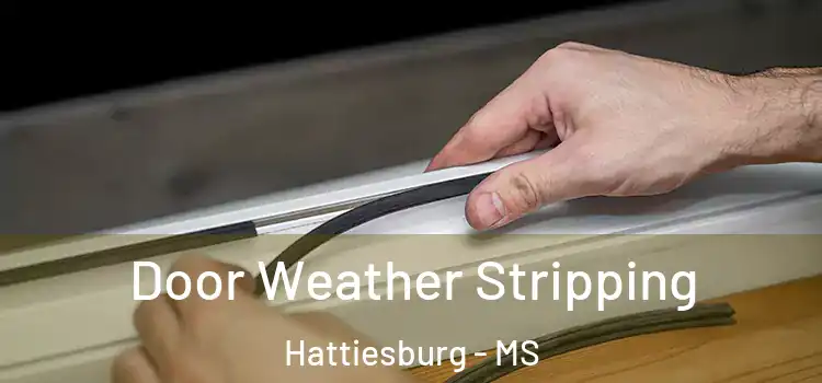 Door Weather Stripping Hattiesburg - MS