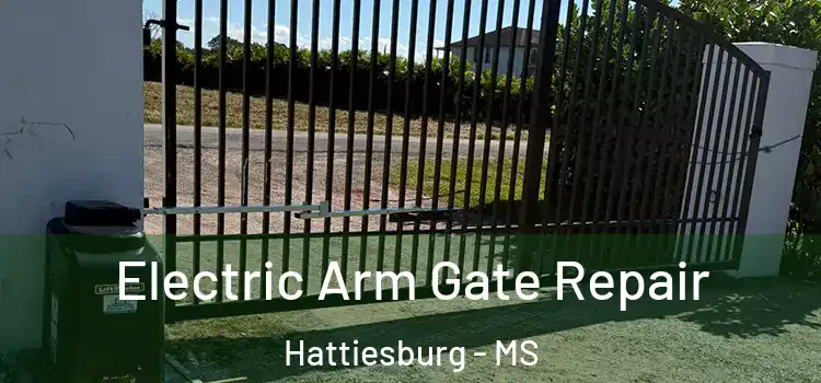Electric Arm Gate Repair Hattiesburg - MS