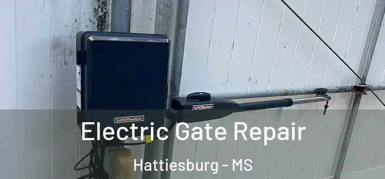 Electric Gate Repair Hattiesburg - MS