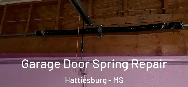  Garage Door Spring Repair Hattiesburg - MS