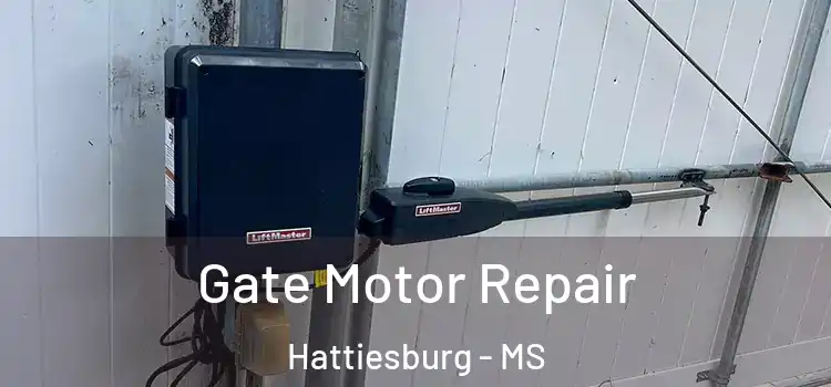 Gate Motor Repair Hattiesburg - MS