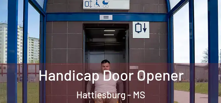 Handicap Door Opener Hattiesburg - MS