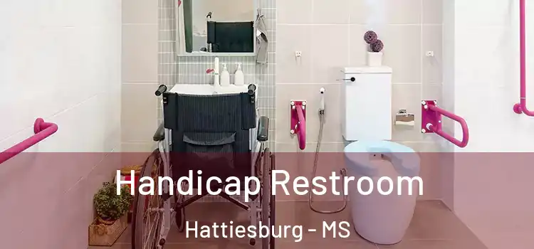  Handicap Restroom Hattiesburg - MS
