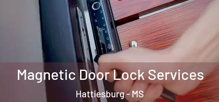 Magnetic Door Lock Services Hattiesburg - MS