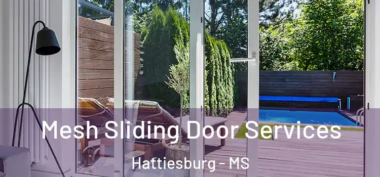  Mesh Sliding Door Services Hattiesburg - MS