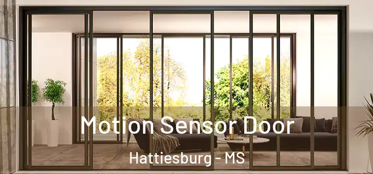 Motion Sensor Door Hattiesburg - MS