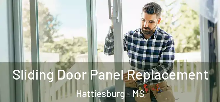  Sliding Door Panel Replacement Hattiesburg - MS