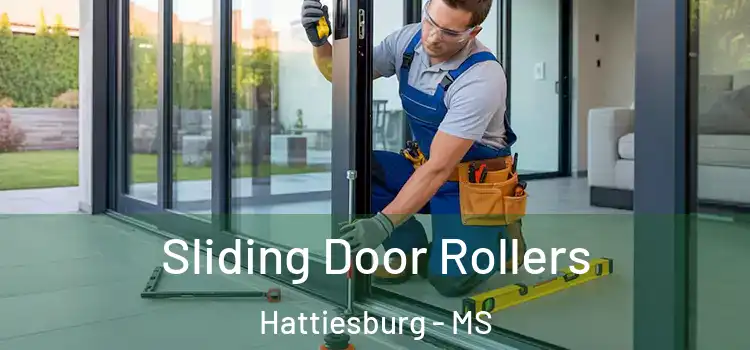 Sliding Door Rollers Hattiesburg - MS
