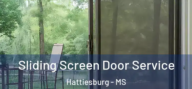 Sliding Screen Door Service Hattiesburg - MS